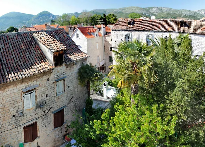 酒店 莫妮卡酒店 特罗吉尔